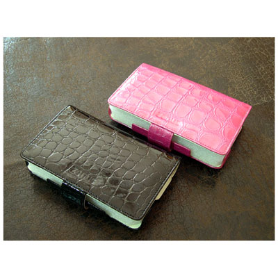 ZE-DSL01�@�N���R