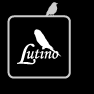 Lutino